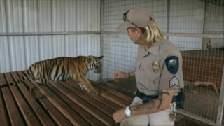 Louis Theroux Beware of the Tiger