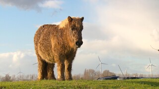 Binnenstebuiten - Binnenstebuiten