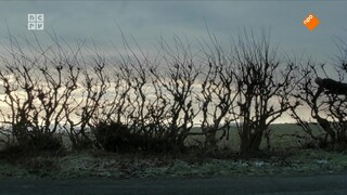 De Schotse landschapskunstenaar Andy Goldsworthy verbindt op bezielde wijze de mens met de natuur.