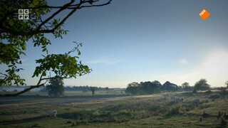 De jongeren gaan in gesprek met Shalini Sinha over: Hoe verander je de wereld? Het boeddhisme helpt ons de dingen te zien voor wat ze zijn.