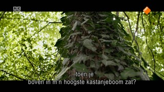 47 kinderen krijgen de vrije loop op een verlaten bouwplaats, vlakbij het centrum van Kopenhagen. Het is een verborgen plek in de stad, waar de natuur al een lange tijd haar eigen gang is gegaan.