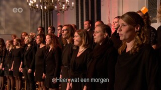 Nederland Zingt Gelukkig Nieuwjaar
