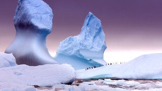 Seven Worlds, One Planet Antarctica