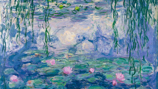 Nu te zien Monet
