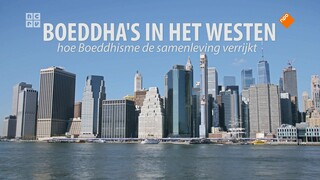 Hoe ziet het westers boeddhisme eruit? Portretten van pioniers die via het boeddhisme, elk op hun eigen manier, de samenleving verrijken.