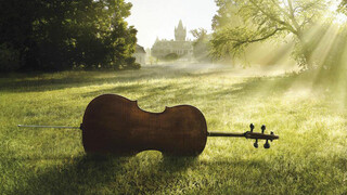 NPO Radio 4 concerten