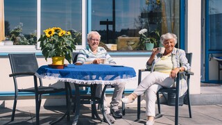 Typisch Typisch Nieuw Den Helder