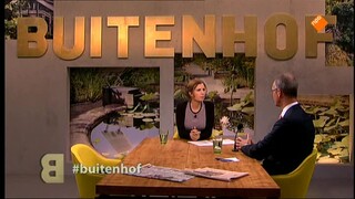 Buitenhof Henk Kamp, Rania Abouzeid, Hans Adriaansens, Albert Jan Kruiter