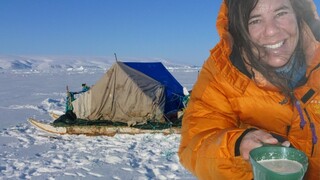 Klimaatjagers Groenland