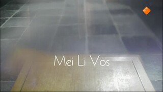 Het Vermoeden Mei Li Vos