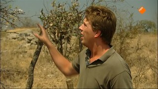 Freek op safari Steengroeve slang