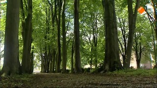 Geloofsgesprek Katholieke Jongerendag Nieuwkuijk