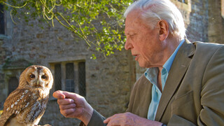 David Attenborough's Rariteitenkabinet - Leven In Het Donker