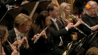 Bloed, Zweet En Snaren. De Mensen Van Het Koninklijk Concertgebouworkest - Bloed, Zweet En Snaren 2