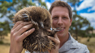 Freek Vonk In Australië - Tasmanië