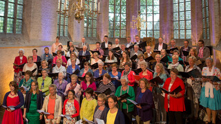 Nederland Zingt - Nederland Zingt