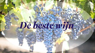 Nederland Zingt op Zondag De beste wijn