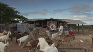 Boer zoekt Vrouw 5. Helpen op de boerderij