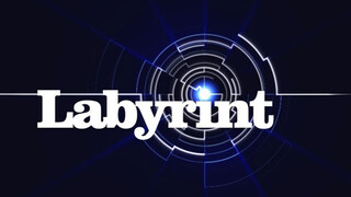 Labyrint TV Taal bepaalt