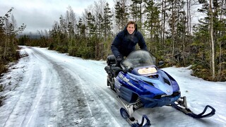Freeks wilde wereld Zweden - Sporen in de sneeuw