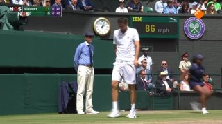 NOS Sport NOS Sport: Tennis Wimbledon