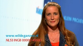 Wilde Ganzen - Zimbabwe