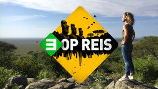 3 Op Reis - Mexico 3