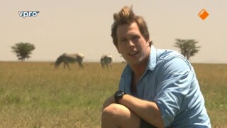 Freeks Wilde Wereld - Kenia - Kuddedieren