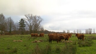 Binnenstebuiten - Binnenstebuiten