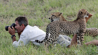 Natural World: Cheetahs growing up fast Natural World: Cheetahs growing up fast