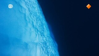 Blue Planet - De Diepzee