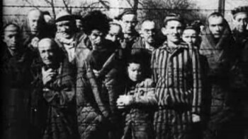 Kamp Auschwitz