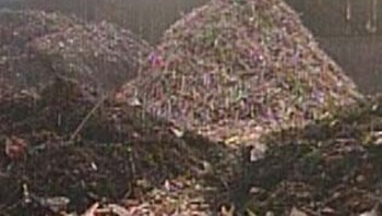 Van groenbak tot compost