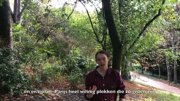 'Een van de weinige stukjes natuur'