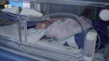 Handen aan de couveuse - Een bijzonder moment voor Bonito en Jennifer