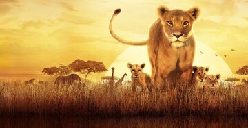 Serengeti | S2 | Trailer