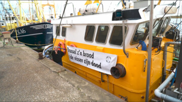 Dit is de middag: Garnalenvisser Johan Rispens vreest voor zijn baan