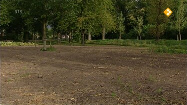 Nieuws uit de natuur: De regenworm