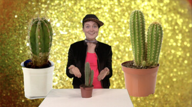 Hoe overleven cactussen in de woestijn?