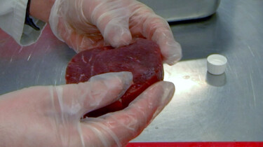 Hoe lijm je stukjes vlees aan elkaar?: Van stukjes restvlees tot biefstuk