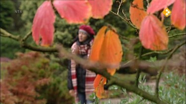 Nieuws uit de natuur: Bladeren