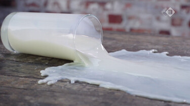 Broodje Gezond in de klas : Hoe gezond is melk?