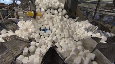 Hoe worden marshmallows gemaakt?: Van suiker en lucht tot zoet spekje