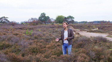Het ontstaan en de inrichting van Nederland : Verkaveld landschap in de 19e eeuw