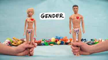Wat is gender?: Het gevoel een jongen of meisje te zijn
