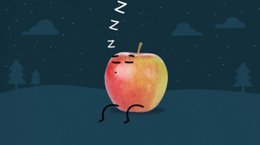 Hoe worden geoogste appels bewaard?: Langer vers door minder zuurstof