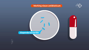 EenVandaag in de klas : Antibiotica en resistente bacteriën