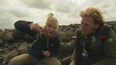 Het Klokhuis: De Wadden