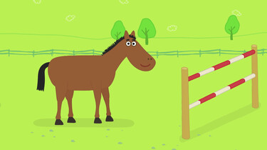 Hoe springt een paard?