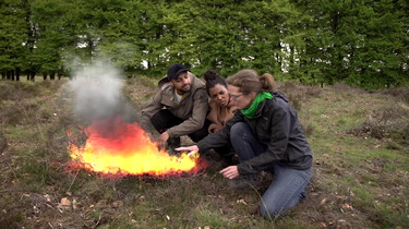 Hoe ontstaan natuurbranden?: Van vonk tot bosbrand